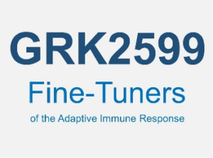 Sponsor: GRK2599 - Fine-Tuners of the Adaptive Immune Response
		